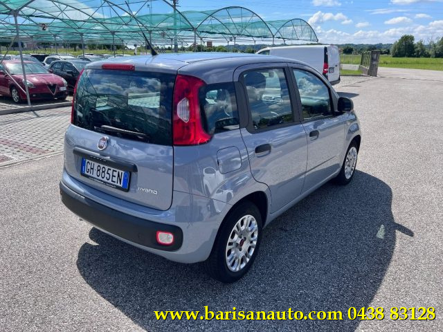 FIAT Panda 1.0 FireFly S&S Hybrid Immagine 2