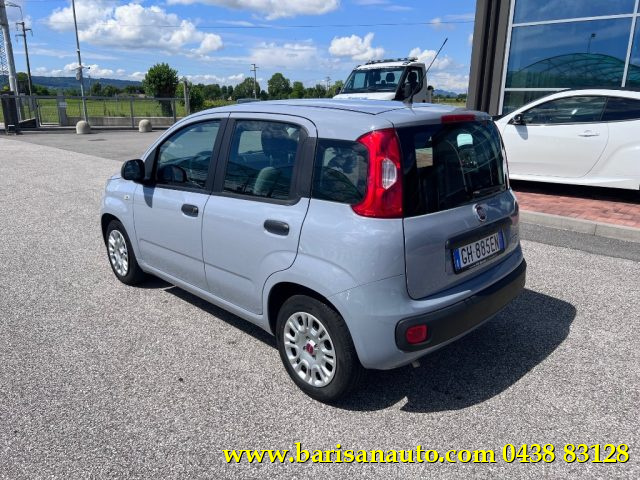 FIAT Panda 1.0 FireFly S&S Hybrid Immagine 3