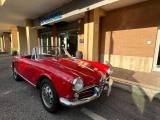 ALFA ROMEO Giulietta Spider 1959