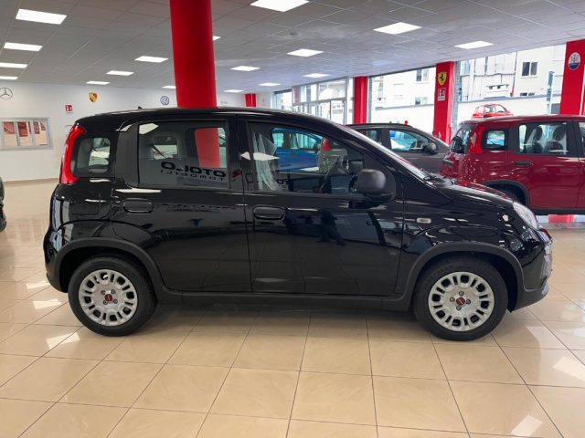 FIAT Panda 1.0 FireFly S&S Hybrid SENZA FINANZIAMENTO Immagine 4