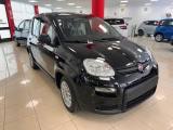 FIAT New Panda 1.0 FireFly S&S Hybrid SENZA FINANZIAMENTO