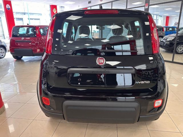 FIAT New Panda 1.0 FireFly S&S Hybrid SENZA FINANZIAMENTO Immagine 4