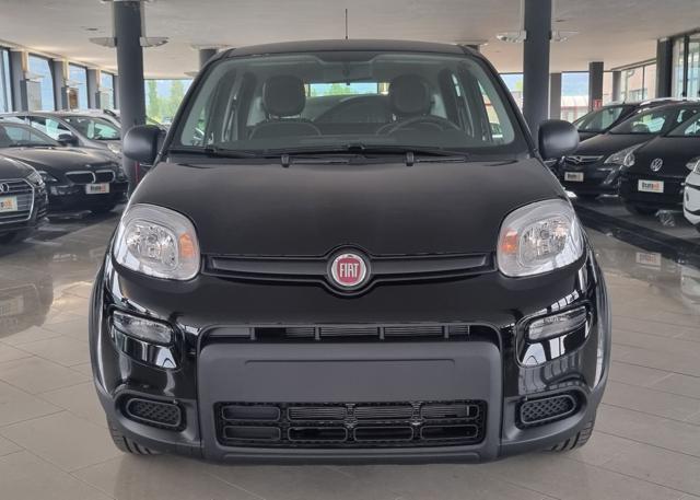 FIAT Panda 1.0 FireFly S&S Hybrid Immagine 1