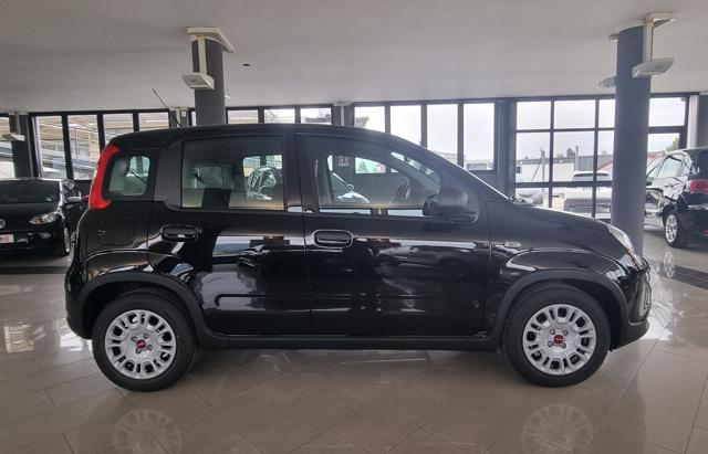 FIAT Panda 1.0 FireFly S&S Hybrid Immagine 3