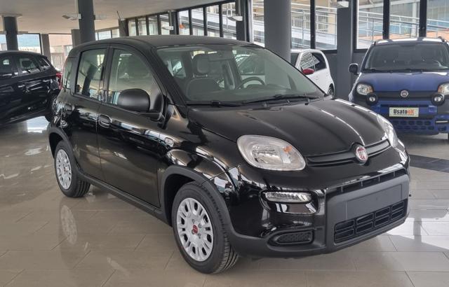 FIAT Panda 1.0 FireFly S&S Hybrid Immagine 2