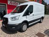 FORD Transit 310 2.0TDCi EcoBlue MHEV 130CV PM-TM-DC Furg. Tren
