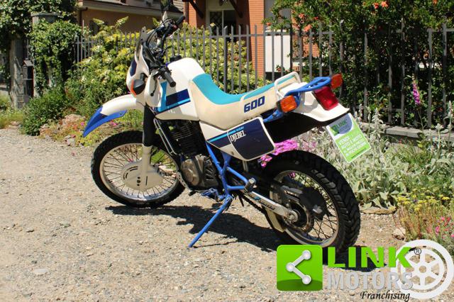 SUZUKI DR 600 DJEBEL Enduro Immagine 2