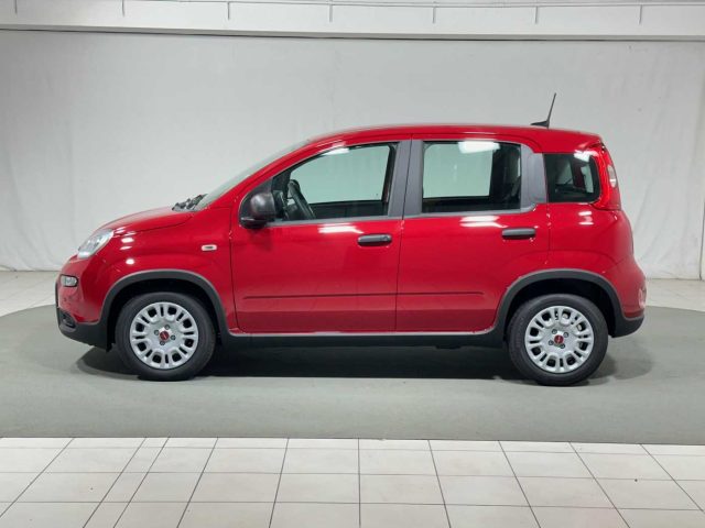 FIAT Panda 1.0 FireFly S&S Hybrid Immagine 1