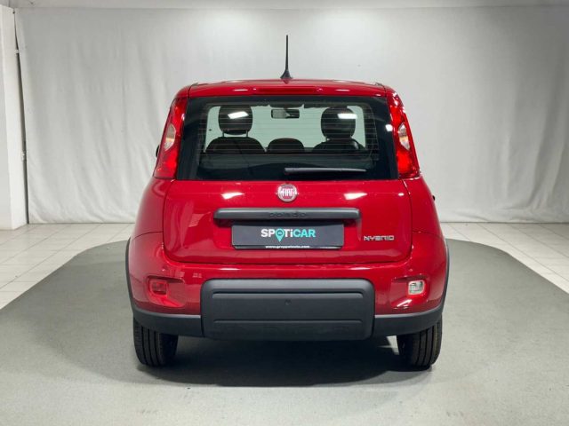 FIAT Panda 1.0 FireFly S&S Hybrid Immagine 3