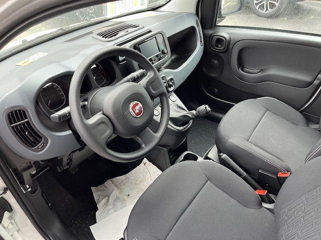 FIAT Panda 1.0 FireFly S&S Hybrid Immagine 2