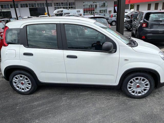 FIAT Panda 1.0 FireFly S&S Hybrid Immagine 1