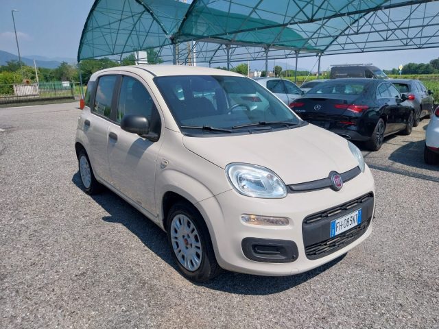 FIAT Panda 1.2 Easy Immagine 2