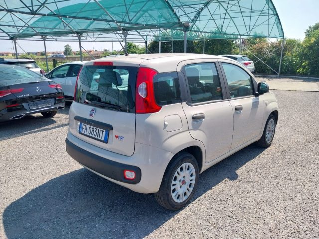 FIAT Panda 1.2 Easy Immagine 3