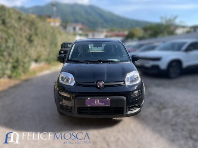 FIAT Panda 1.0  Hybrid   Km 0 Immagine 0