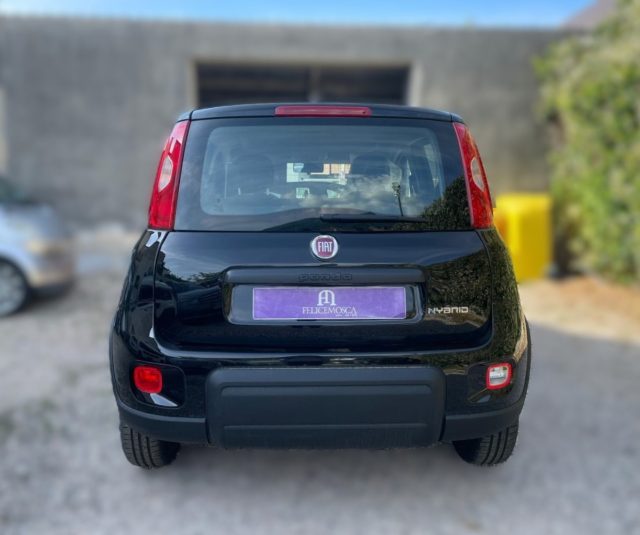 FIAT Panda 1.0  Hybrid   Km 0 Immagine 4