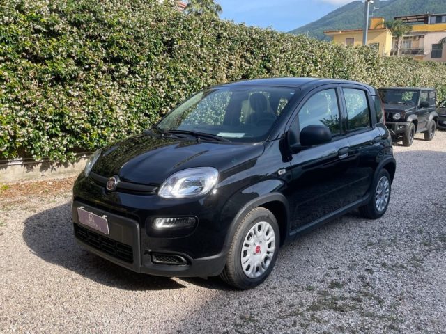 FIAT Panda 1.0  Hybrid   Km 0 Immagine 2