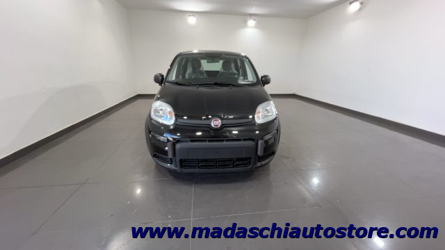 FIAT Panda 1.0 FireFly S&S Hybrid Immagine 0