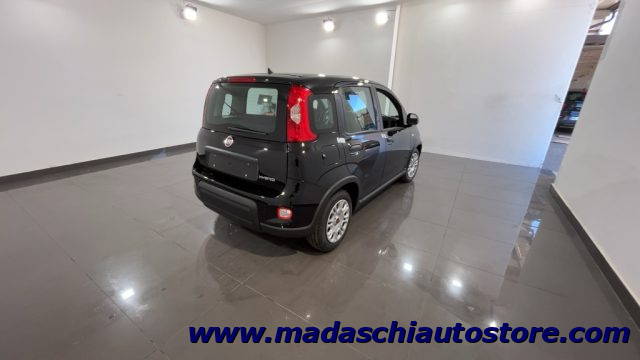 FIAT Panda 1.0 FireFly S&S Hybrid Immagine 1