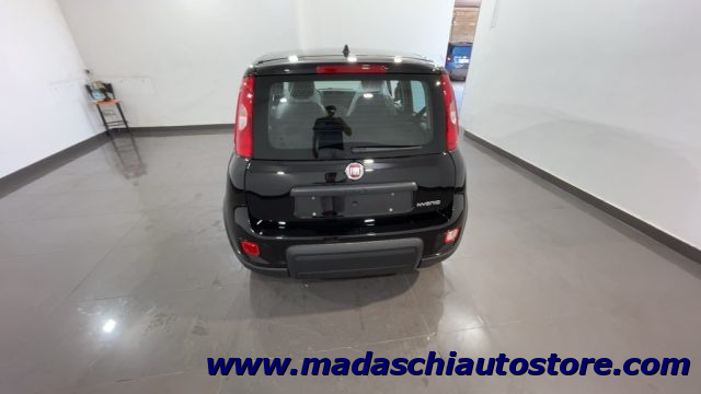 FIAT Panda 1.0 FireFly S&S Hybrid Immagine 3