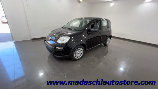 FIAT Panda 1.0 FireFly S&S Hybrid Immagine 2