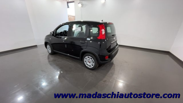 FIAT Panda 1.0 FireFly S&S Hybrid Immagine 4