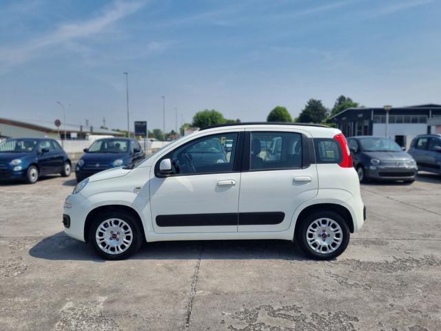 FIAT Panda 1.2 Lounge 5 posti Immagine 2