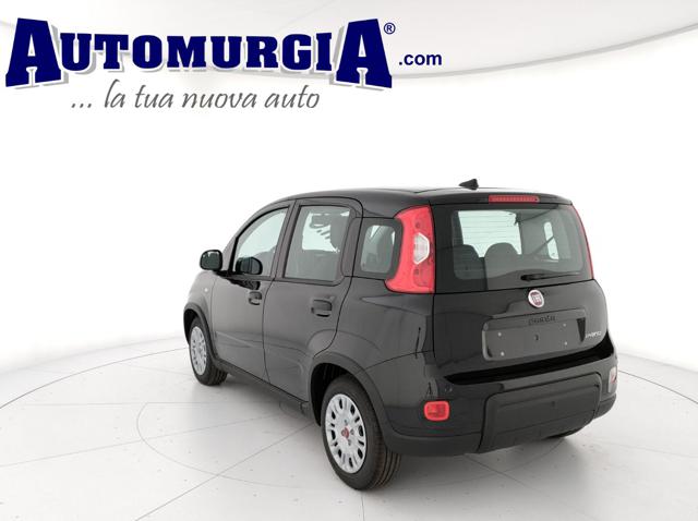 FIAT Panda 1.0 FireFly S&S Hybrid Immagine 3