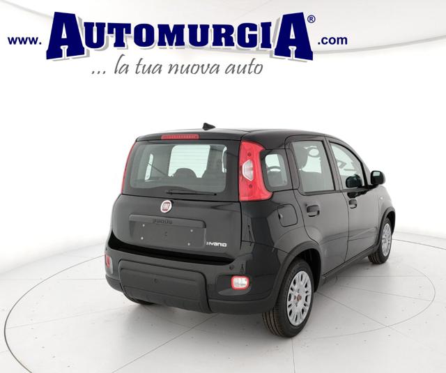 FIAT Panda 1.0 FireFly S&S Hybrid Immagine 2