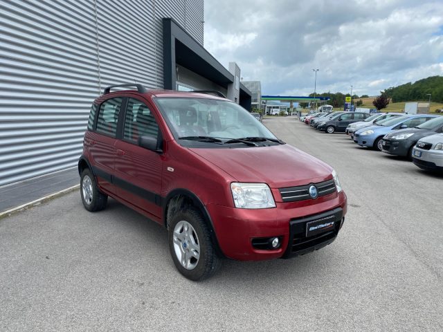 FIAT Panda 1.3 MJT 16V 4x4 Climbing OK NEOPATENTATI Immagine 2