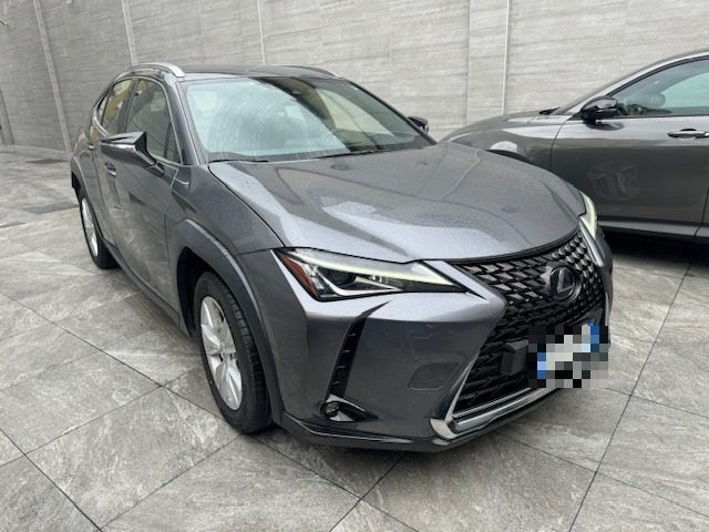 LEXUS UX 250h UX Hybrid Business 2WD Immagine 2