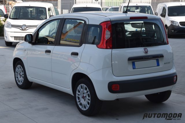 FIAT Panda 1.0 Hybrid Autocarro N1 Immagine 3