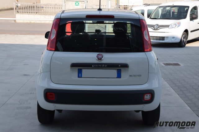 FIAT Panda 1.0 Hybrid Autocarro N1 Immagine 4