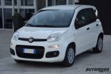 FIAT Panda 1.0 Hybrid Autocarro N1