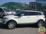 LAND ROVER Range Rover Evoque 2.2 TD4 5p. Dynamic - PRONTA CONSEGNA