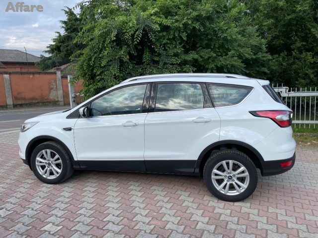 FORD Kuga 1.5 TDCI 120 CV S&S 2WD Powershift Business Immagine 1