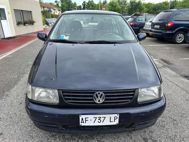 VOLKSWAGEN Polo 1.4 cat 5 porte Comfort Immagine 1