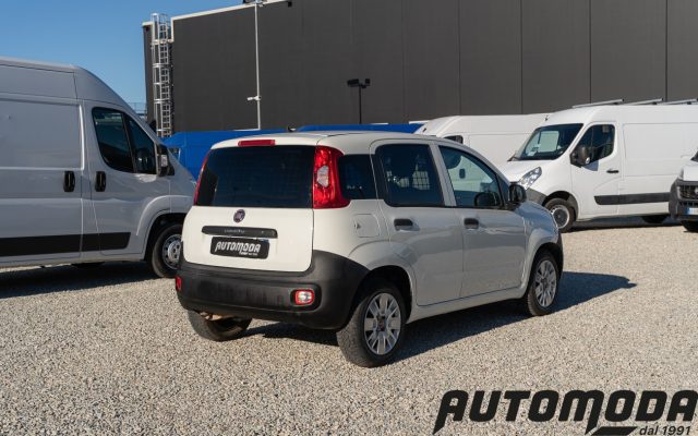 FIAT Panda Van 2 Posti 1.2 Benzina Immagine 3