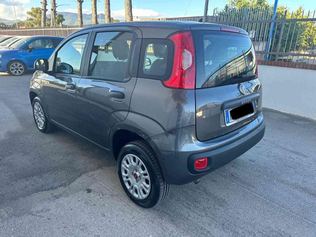 FIAT Panda 0.9 TwinAir Turbo Natural Power Easy Immagine 3