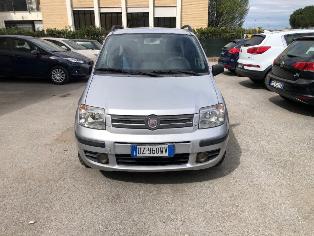 FIAT Panda 1.2 Dynamic GPL Immagine 2