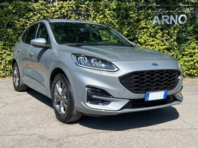 FORD Kuga 1.5 EcoBlue 120 CV 2WD ST-Line Immagine 0