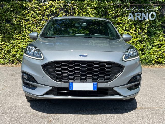 FORD Kuga 1.5 EcoBlue 120 CV 2WD ST-Line Immagine 1