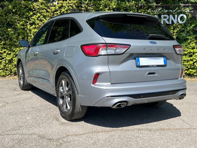 FORD Kuga 1.5 EcoBlue 120 CV 2WD ST-Line Immagine 4