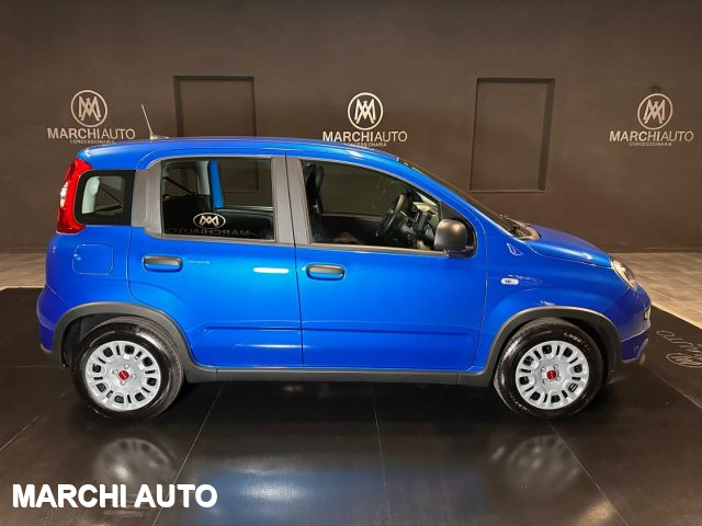 FIAT Panda 1.0 FireFly S&S Hybrid Immagine 3