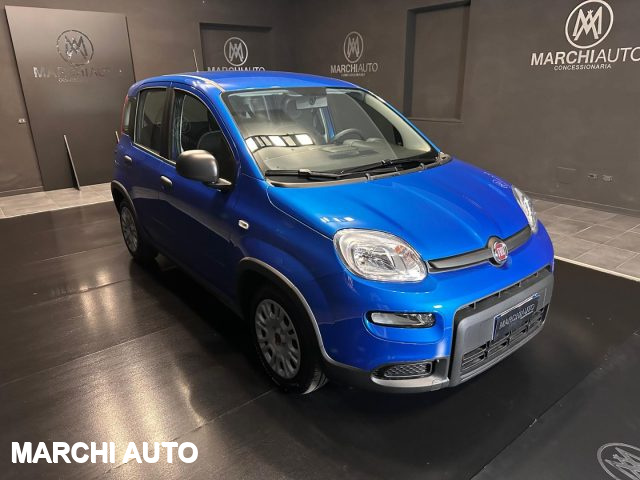 FIAT Panda 1.0 FireFly S&S Hybrid Immagine 2