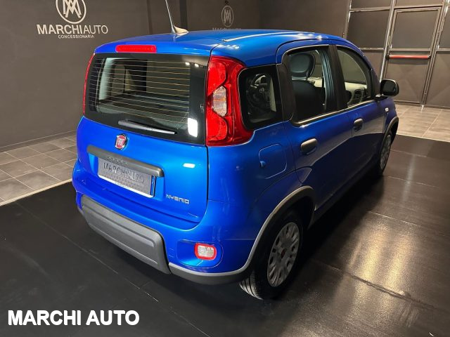 FIAT Panda 1.0 FireFly S&S Hybrid Immagine 4