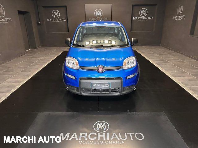 FIAT Panda 1.0 FireFly S&S Hybrid Immagine 1