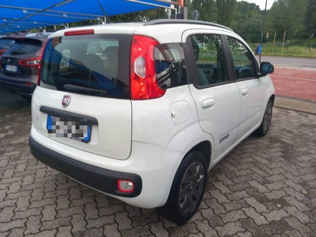 FIAT Panda 1.2 K-Way Immagine 4