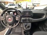 FIAT Panda 1.0 FireFly S&S Hybrid/GPL Sport+Touch 7