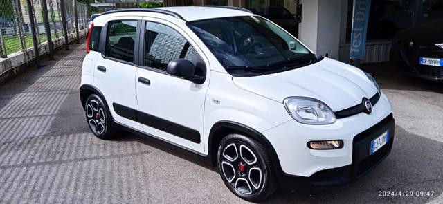 FIAT Panda 1.0 FireFly S&S Hybrid City Life Immagine 1