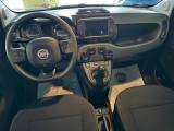 FIAT Panda Cross 1.0 FireFly S&S Hybrid  Cross